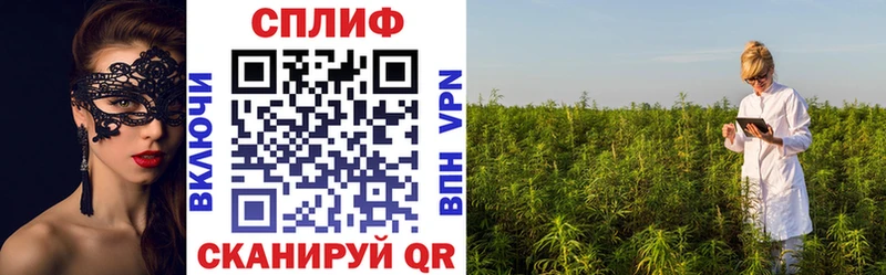 Где найти наркотики Кирсанов ГАШ  АМФ  Мефедрон  СОЛЬ  Конопля  Кокаин 