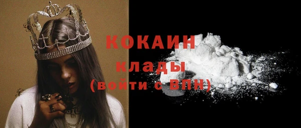 ПСИЛОЦИБИНОВЫЕ ГРИБЫ Козельск