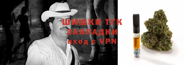 молекула духа Козловка