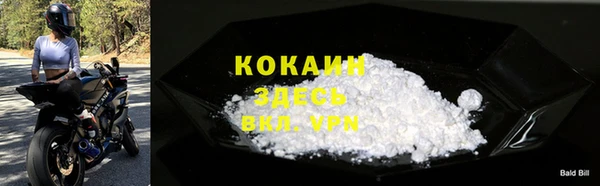 молекула духа Козловка