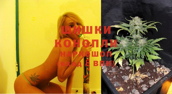 ПСИЛОЦИБИНОВЫЕ ГРИБЫ Козельск