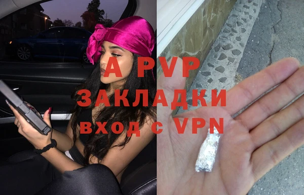 гашик Костерёво