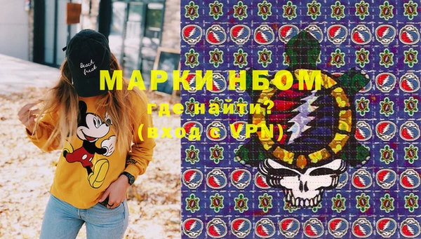 гашик Костерёво