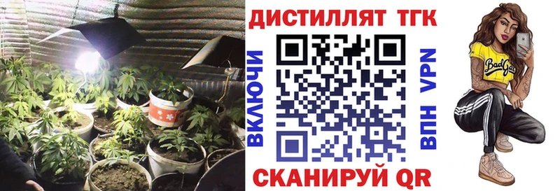 Дистиллят ТГК THC oil  Кирсанов 