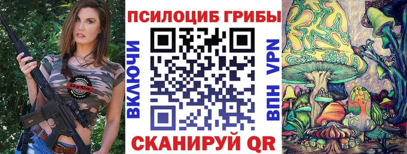 mega как войти  Кирсанов  Псилоцибиновые грибы мицелий 