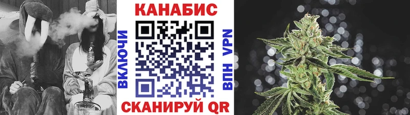 Шишки марихуана ГИДРОПОН  где купить наркотик  Кирсанов 